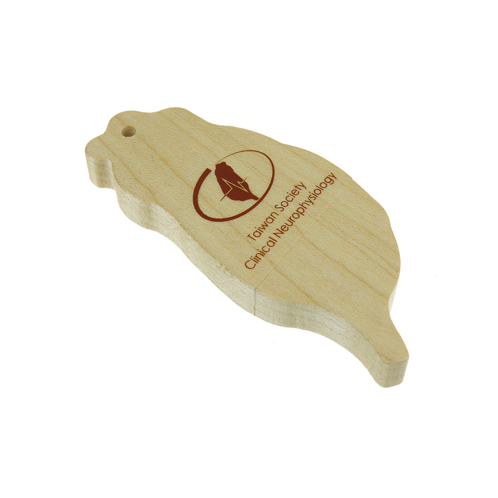 台灣造型木頭USB-